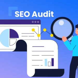 Basic SEO Audit